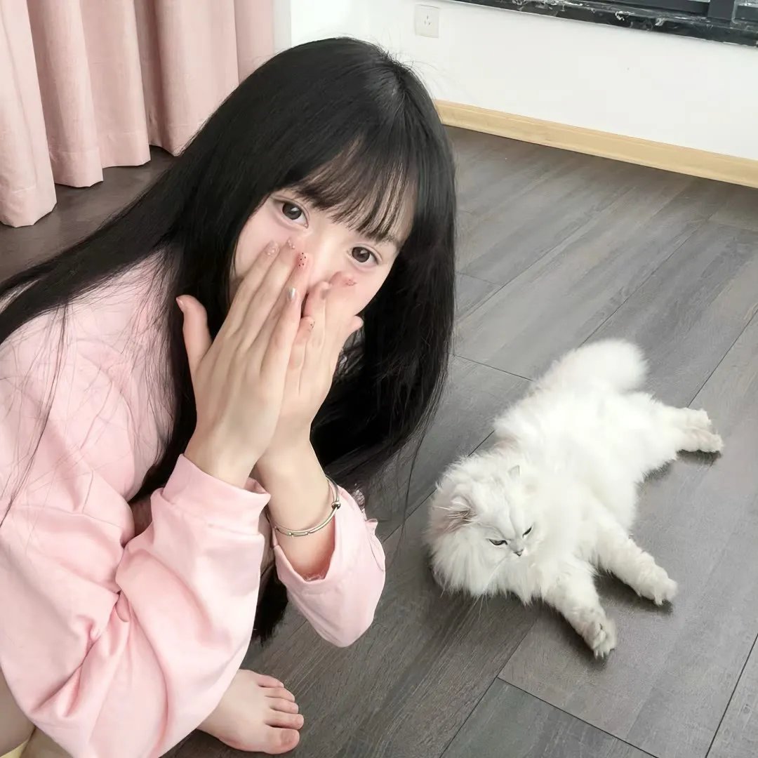 无敌雷诺