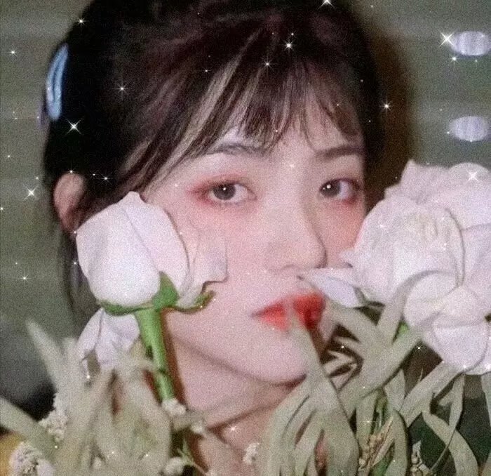 战地之星